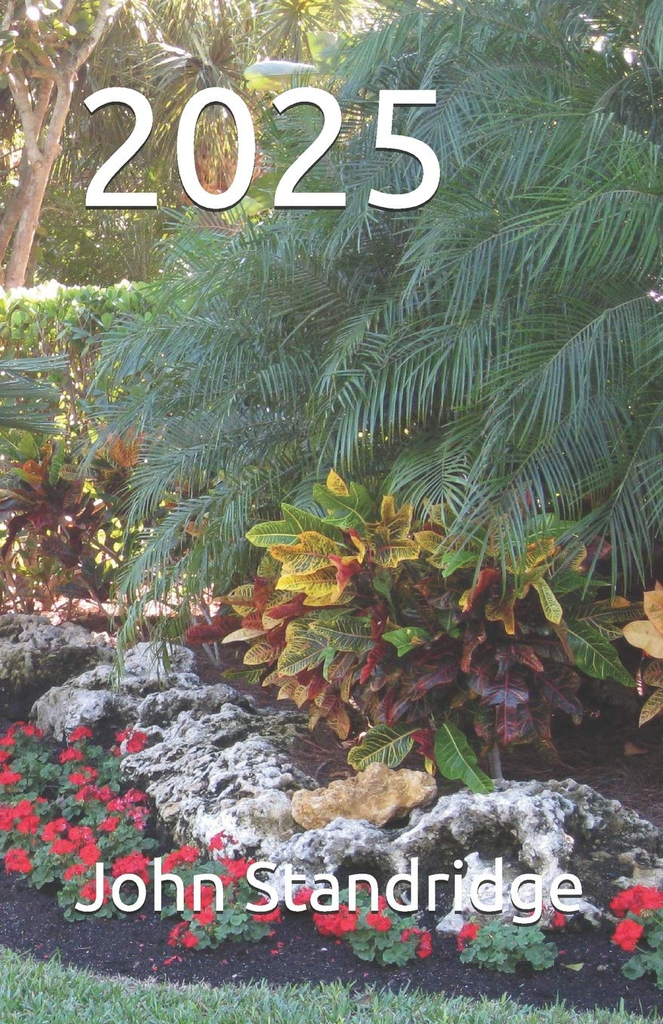 2025 book by John Standridge